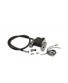 Bobine d'allumage 398811 Briggs & Stratton