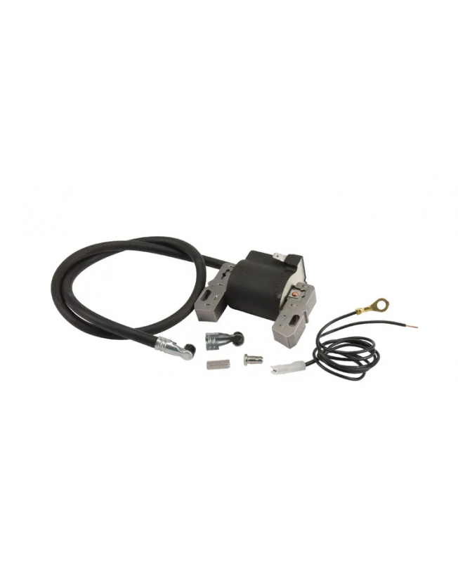 Bobine d'allumage 398811 Briggs & Stratton