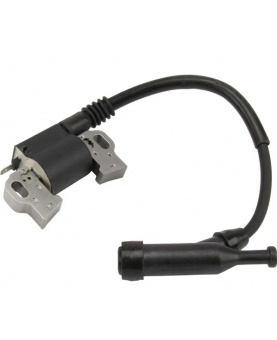 Bobine d'allumage 797769 Briggs & Stratton