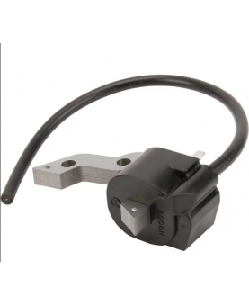 Bobine d'allumage 711197WM Briggs & Stratton