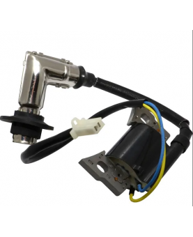 Bobine d'allumage 317436GS Briggs & Stratton