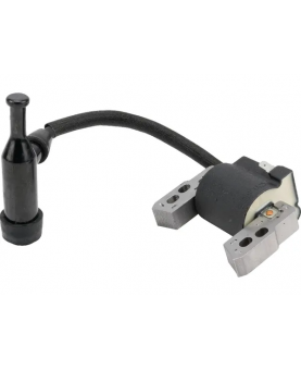 Bobine d'allumage 590818 Briggs & Stratton