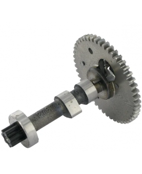 Arbre à cames 797851 Briggs & Stratton