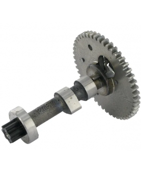 Arbre à cames 809879 Briggs & Stratton