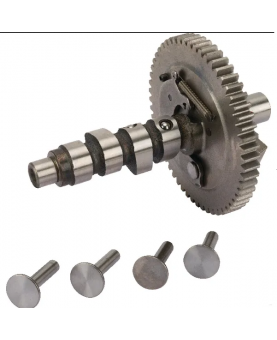 Arbre à cames 845649 Briggs & Stratton