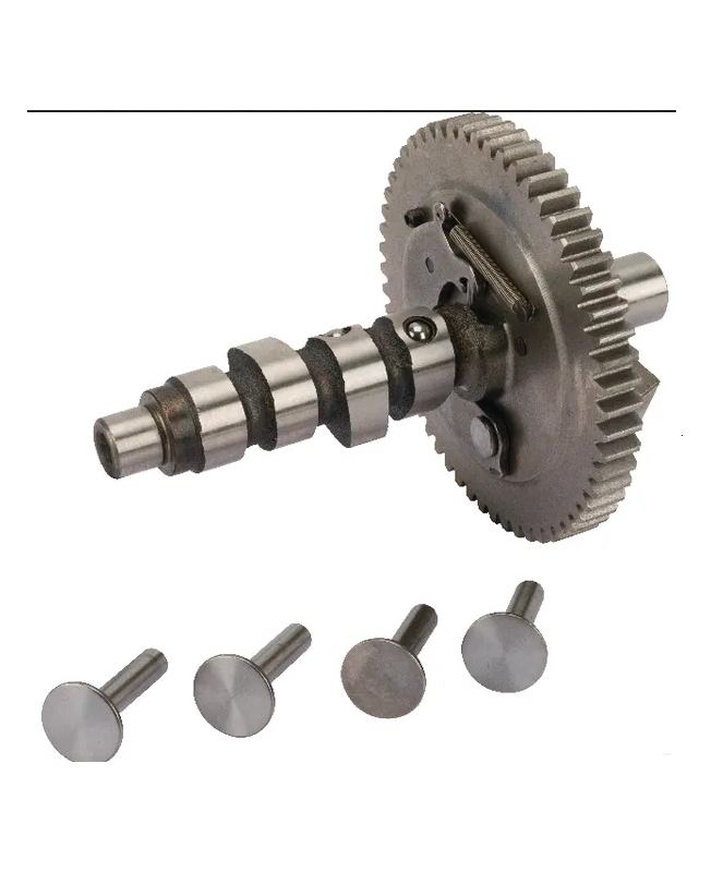 Arbre à cames 845649 Briggs & Stratton