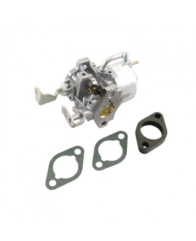 Carburateurs Briggs & Stratton 715520