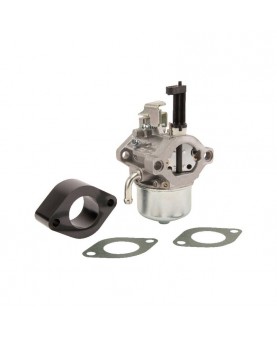 Carburateurs Briggs & Stratton 715782