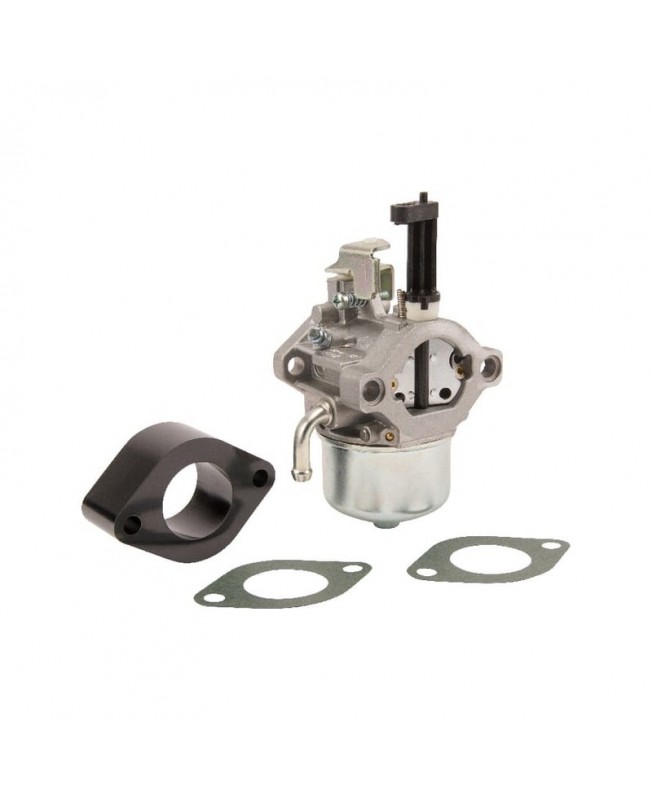 Carburateurs Briggs & Stratton 715782