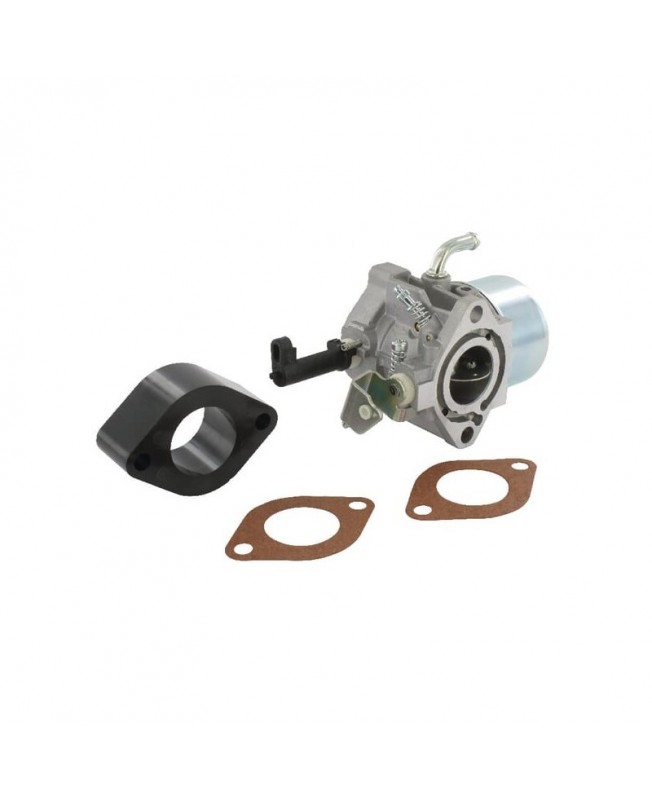 Carburateurs Briggs & Stratton 715783