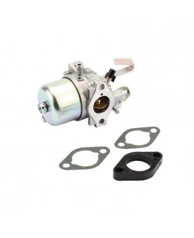 Carburateurs Briggs & Stratton 716154