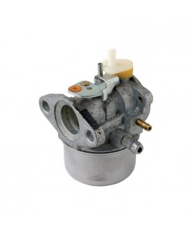 Carburateurs Briggs & Stratton 790276