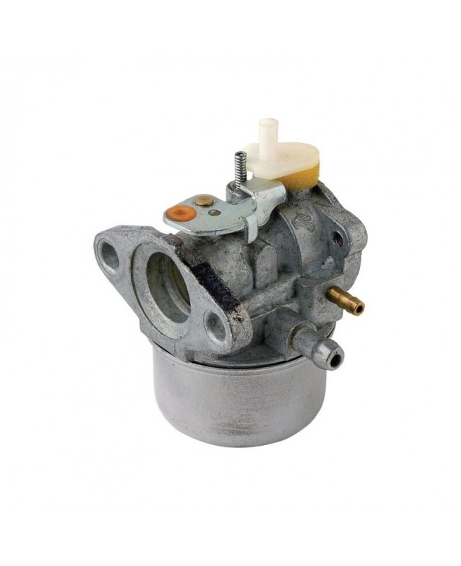 Carburateurs Briggs & Stratton 790276