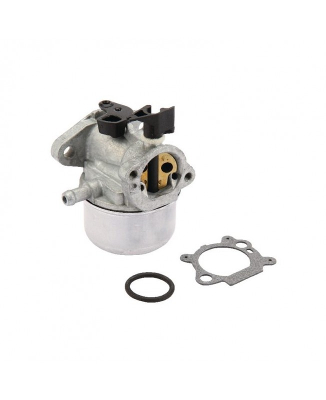Carburateurs Briggs & Stratton 790978