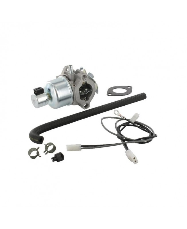 Carburateurs Briggs & Stratton 791889