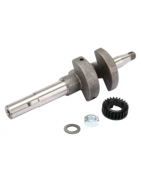 Vilebrequin 793616 Briggs & Stratton