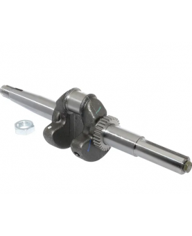 Vilebrequin 794716 Briggs & Stratton