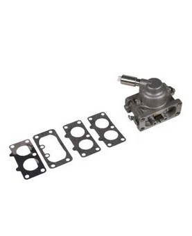 Carburateurs Briggs & Stratton 792295
