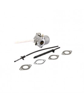 Carburateurs Briggs & Stratton 796122