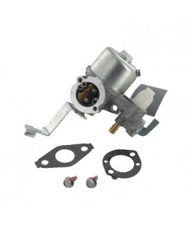 Carburateurs Briggs & Stratton 796447