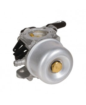 Carburateurs Briggs & Stratton 796608