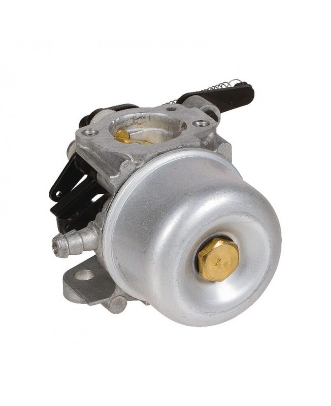 Carburateurs Briggs & Stratton 796608