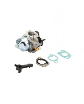 Carburateurs Briggs & Stratton 797283