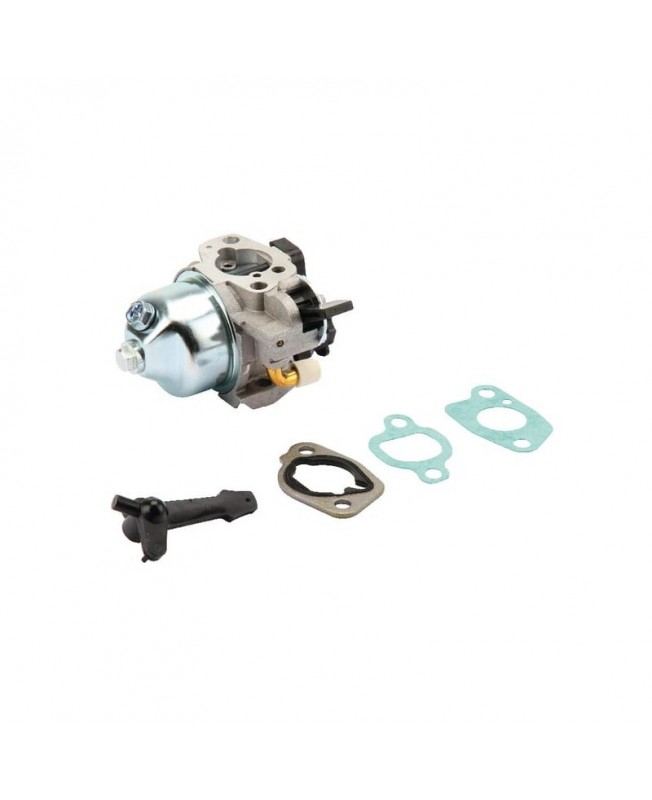 Carburateurs Briggs & Stratton 797283