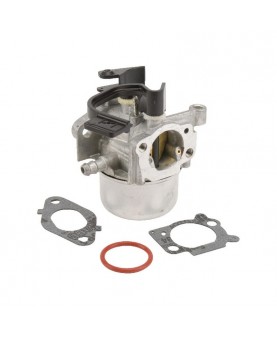 Carburateurs Briggs & Stratton 797736