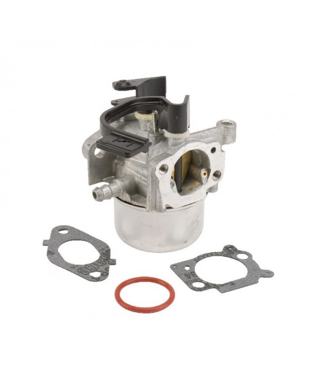 Carburateurs Briggs & Stratton 797736