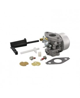 Carburateurs Briggs & Stratton 798653