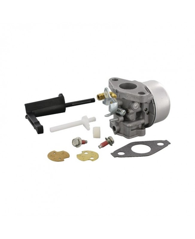 Carburateurs Briggs & Stratton 798653