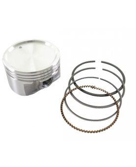  Piston 843951 Briggs & Stratton  