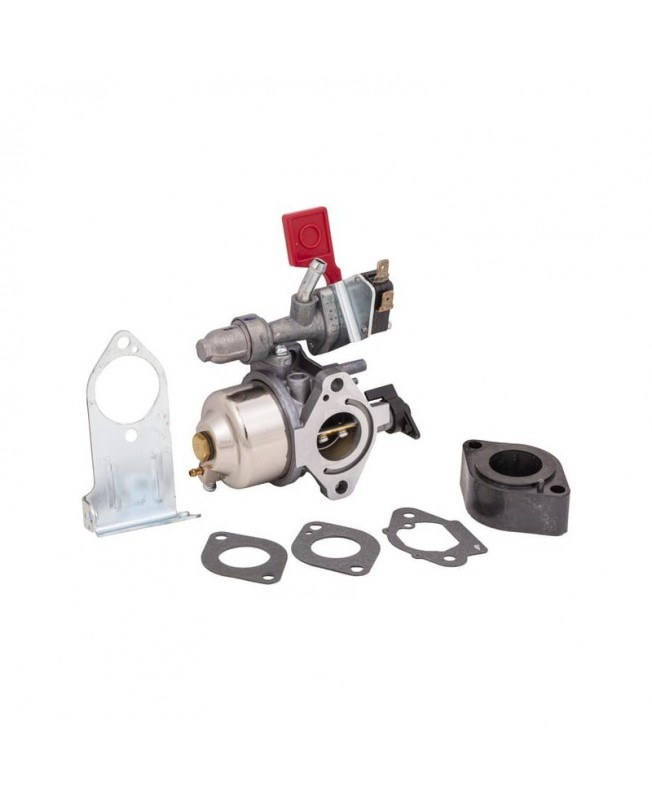 Carburateurs Briggs & Stratton 84004885 