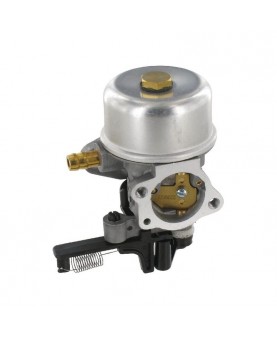 Carburateurs Briggs & Stratton 799226