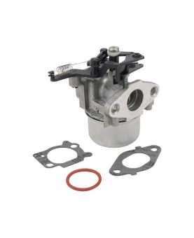 Carburateurs Briggs & Stratton 799479