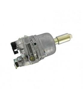 Carburateurs Briggs & Stratton 799727