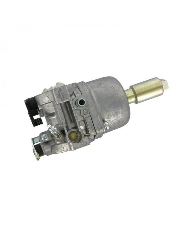 Carburateurs Briggs & Stratton 799727