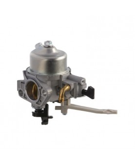 Carburateurs Briggs & Stratton 799882