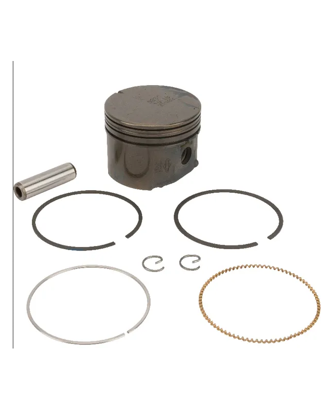  Piston 795691 Briggs & Stratton  