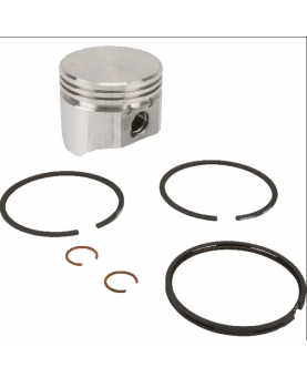  Piston 499960 Briggs & Stratton  