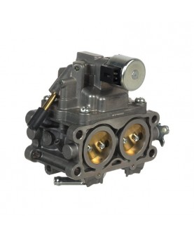 Carburateurs Briggs & Stratton 844370