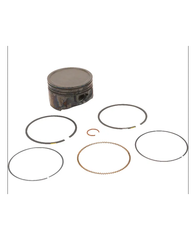 Piston 791786  Briggs & Stratton 