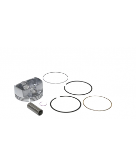  Piston 795858 Briggs & Stratton  
