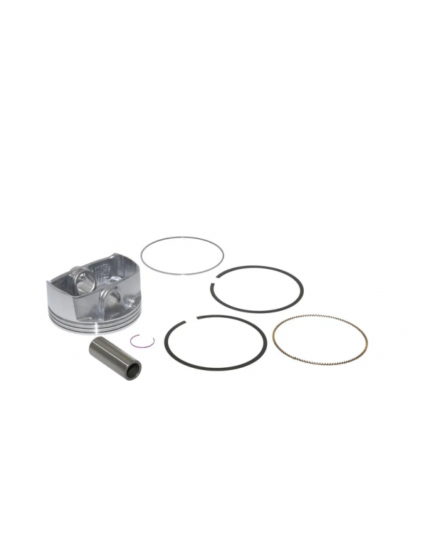  Piston 795858 Briggs & Stratton  