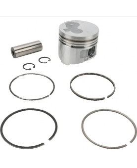 Piston 825796 Briggs & Stratton  