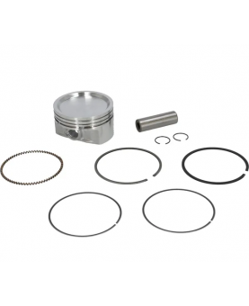 Piston 843805 Briggs & Stratton  
