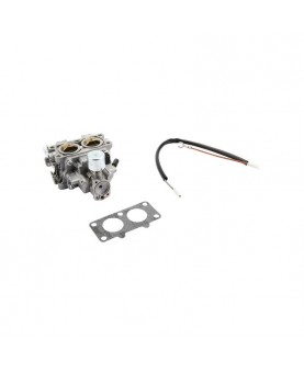Carburateurs Briggs & Stratton 845199