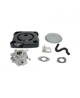 Carburateurs Briggs & Stratton 846082 