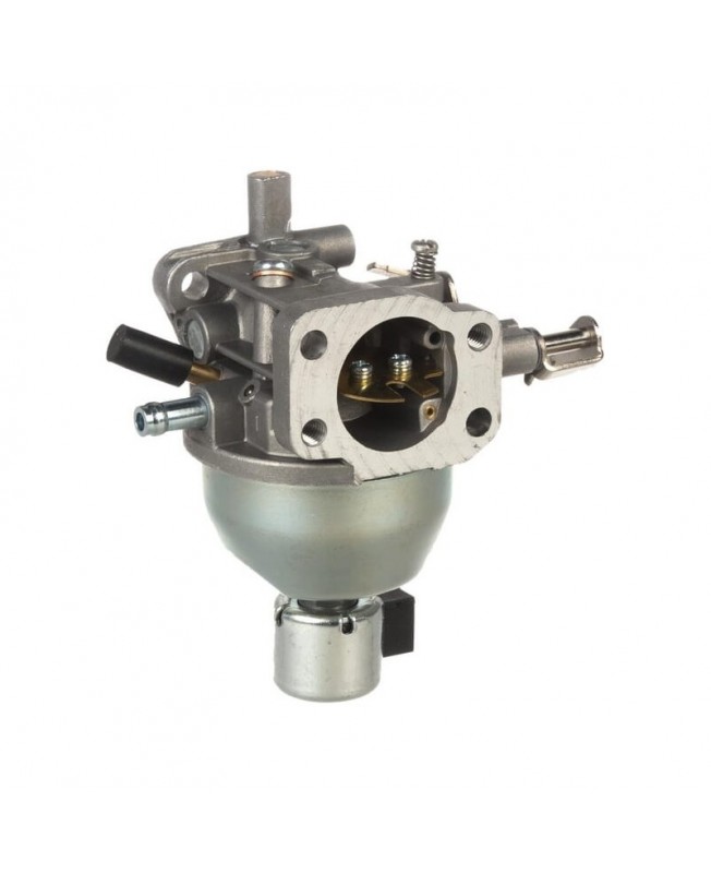 Carburateurs Briggs & Stratton 846595 